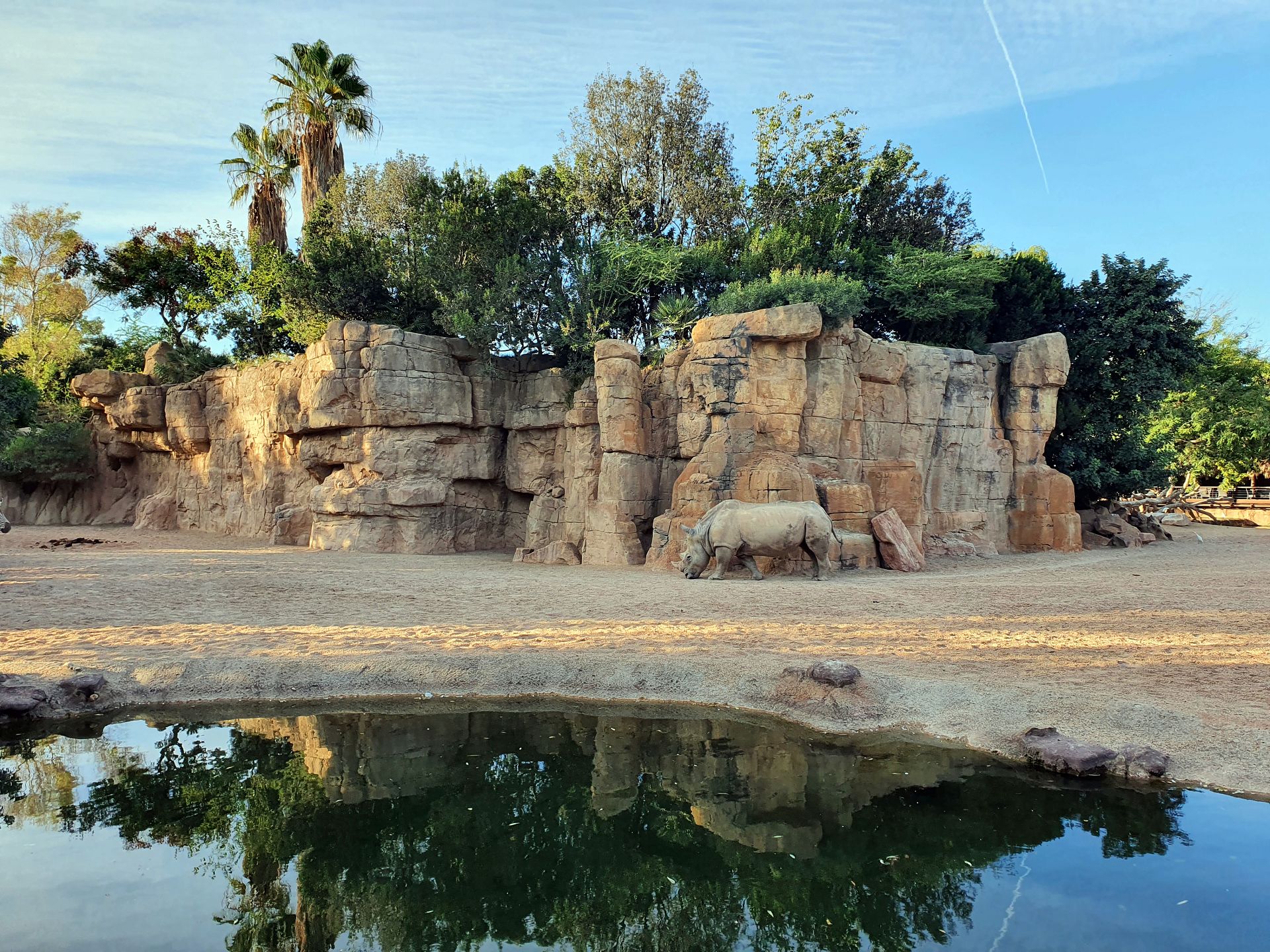 Bioparc Valencia
